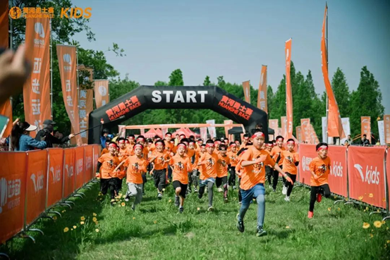 有限公司所, 三次荣耀